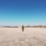 13256828_1784593461777079_1624588371_a