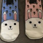 12950339_1750404935196195_19995571_a