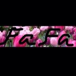 11375148_478160639031669_1101157293_a