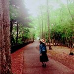 13258983_1762089364020786_146826892_a