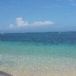 1208211_295227590672790_1506927706_a