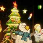 11005149_1609873899249808_264161814_a