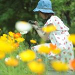 13151291_238352953208384_1339332953_a