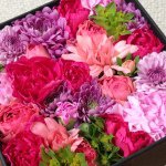 10954730_1547770372143489_497857437_a