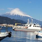 13258961_183903388676012_1139782511_a