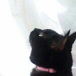 11324950_160092604326911_754371561_a