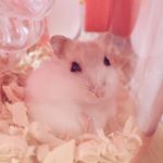 13188201_130712400672009_920001507_a