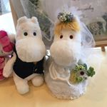 13249930_239101023130466_317754900_a