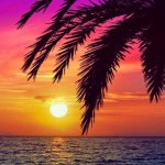 11142234_1622567111322537_339626871_a