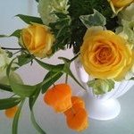 11848870_103646346654297_881330181_a