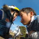 1661301_1639279416334225_291704387_a