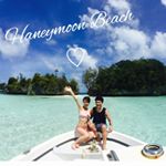 12907227_226637957701858_1100671194_a