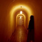 10808982_306536896206437_104674649_a