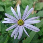 12144104_1677181735859025_1399656878_a