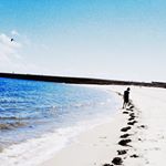 13116795_1704880613110197_620324132_a