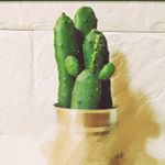 10616548_535388543298953_2006124000_a