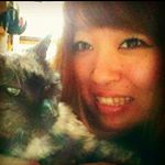 12940847_1586278935021847_210423166_a