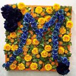 12976539_947527952029460_956195259_a