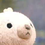 12825714_546528285511554_2062963127_a