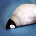 10865184_707276802721553_1406045944_a