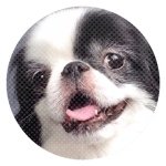 10598303_343810045768611_1795820698_a