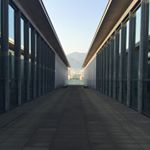 11374210_1656055208007737_697769705_a