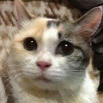 11378658_867906849967650_809467549_a