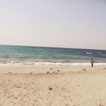 10644049_211603845876768_684165110_a