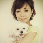 12599487_614160058746317_463090092_a