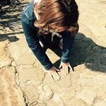 12965659_760396984060699_301849175_a