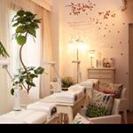 11906133_447273662123766_786571865_a