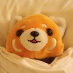 11420936_168489040156199_423909381_a