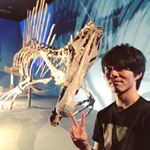 13129639_272711623074903_1735578367_a