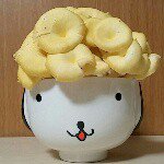 11372324_873082086074724_481693895_a