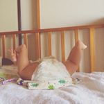 12930789_531591980378583_507155654_a