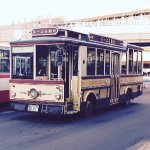 10903712_782839758447762_1762329503_a