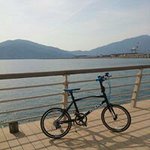 10735410_852665004757135_415186814_a