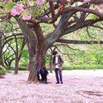 13092396_529433280570322_736223969_a