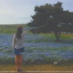 13102584_535169073356702_1622108082_a