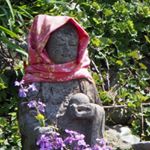 13267466_886898641421437_1842212301_a