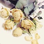 12905177_134190936979526_1806791028_a