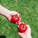 13181315_1174206292602472_2130863006_a