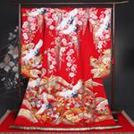 13183304_1699991566933965_1307664216_a