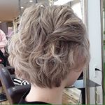 13249659_266350660382023_106773700_a