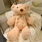 12145114_1516086778689689_634167479_a