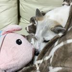 916500_195179170833546_8842349_a