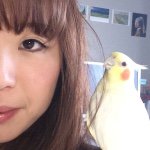 12132682_143241032697491_1425269027_a