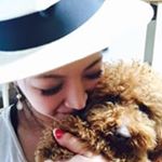 12545468_233078947027733_874697311_a