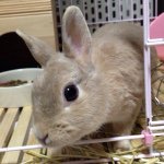 11355982_914051711971249_2140083927_a