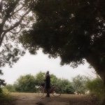 13116804_135537773524292_396387292_a